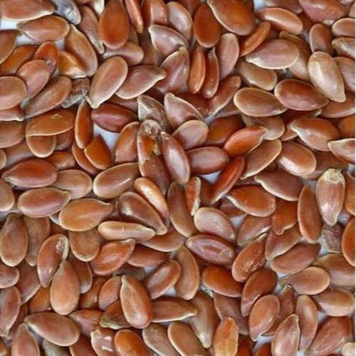 Linseed Seed